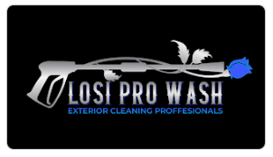 Losi Pro Wash