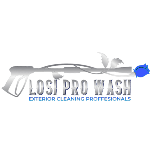 cropped-Losi-Pro-Wash-Favicon.png